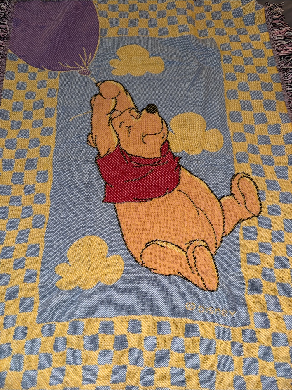 VTG Disney Winnie the Pooh Balloon Story Jacquard Baby Blanket Beacon USA 36x48